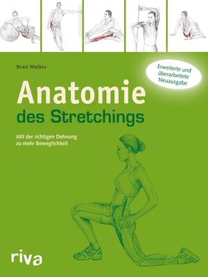 cover image of Anatomie des Stretchings